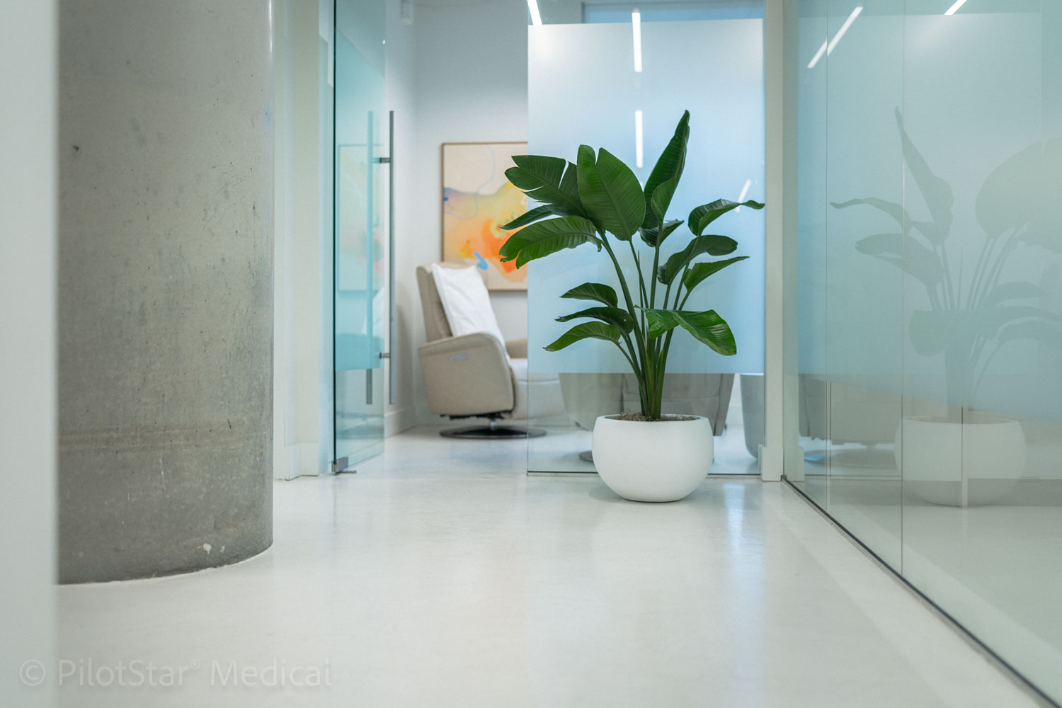 Bright clinic interior with glass treatment rooms and a potted plant