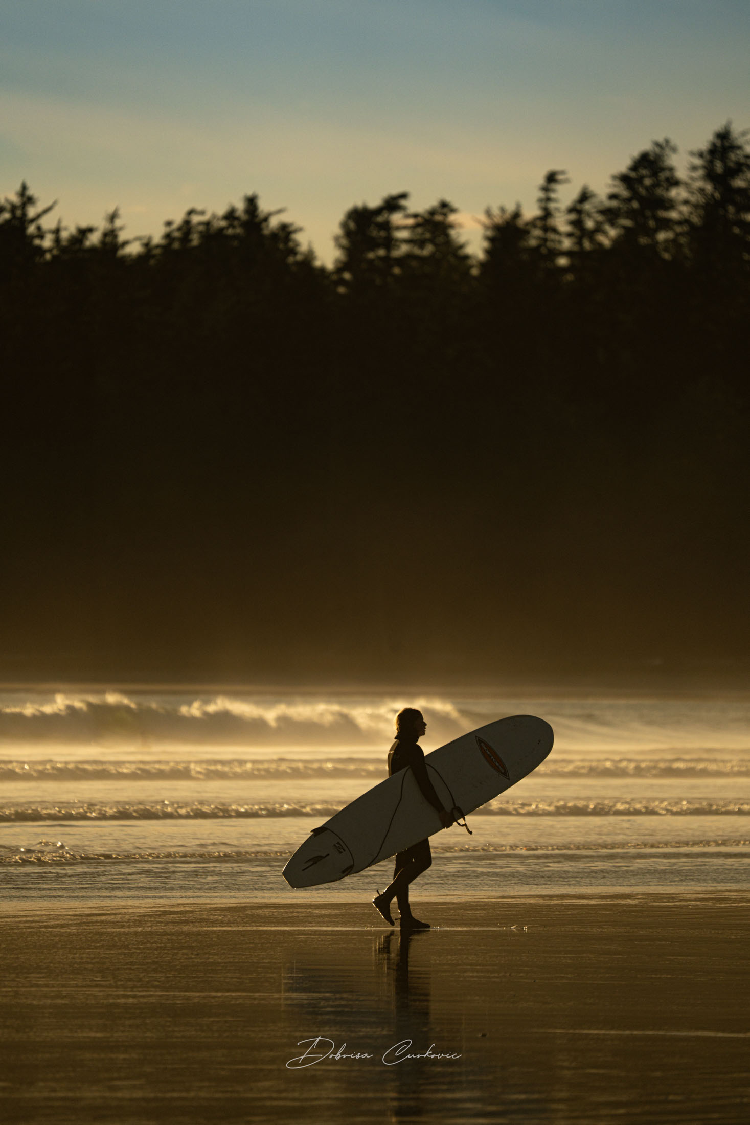 Surfer carrying a board along the beach at sunset