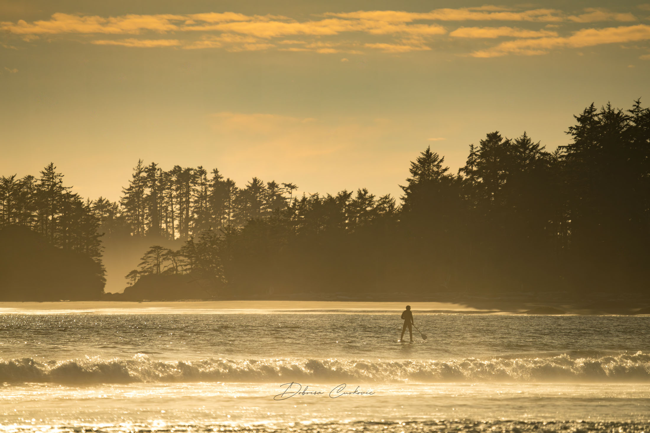 Paddleboarder on the water beside a forested shoreline at sunset