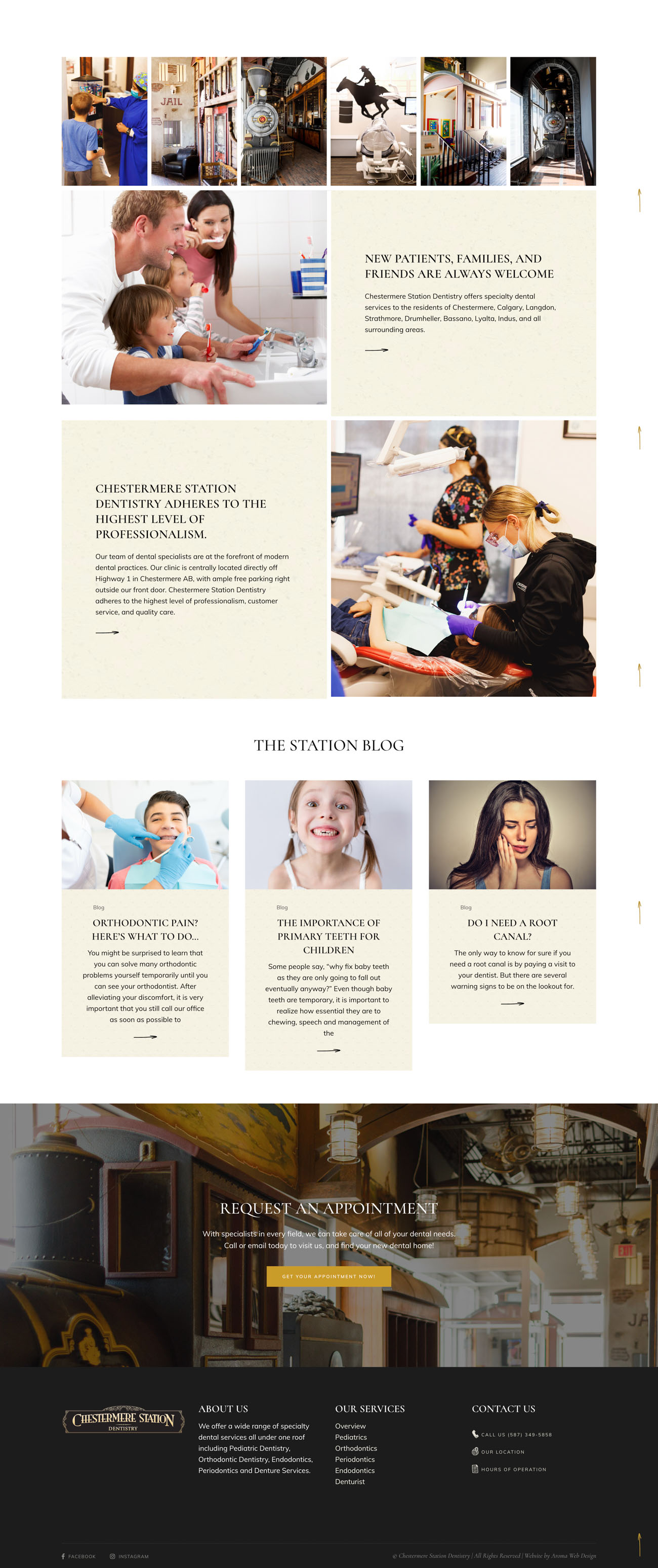 Children’s Dentist Practice website — screen 3